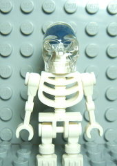 �u�`���[�] Skeleton with  Skull�^�����u�`�Y�X�{�b�@7627